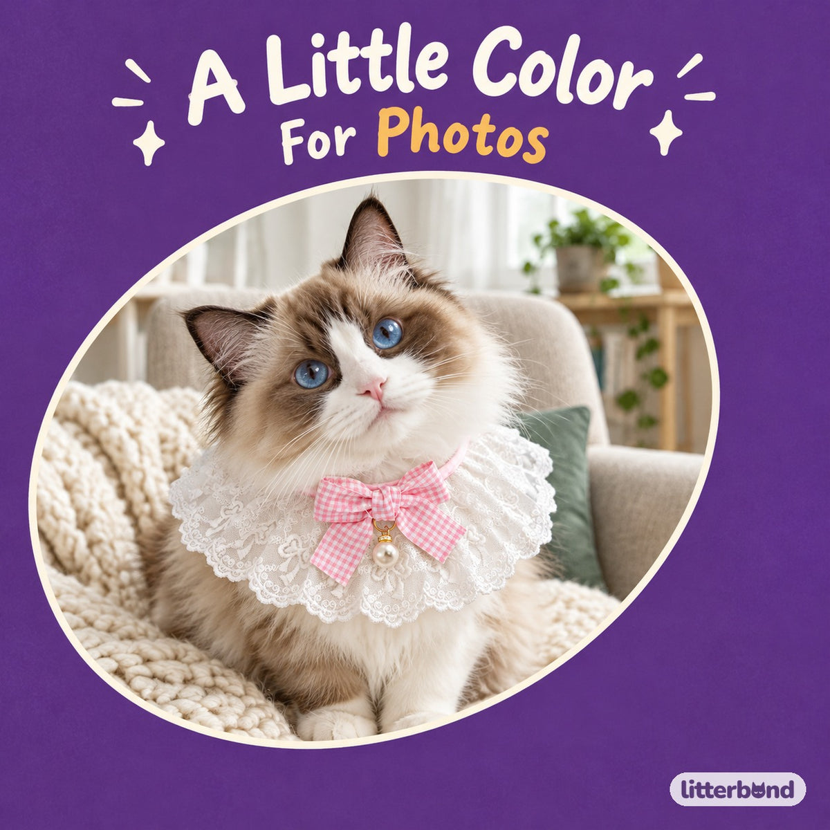 Gingham Bow Lace Collar on a cat