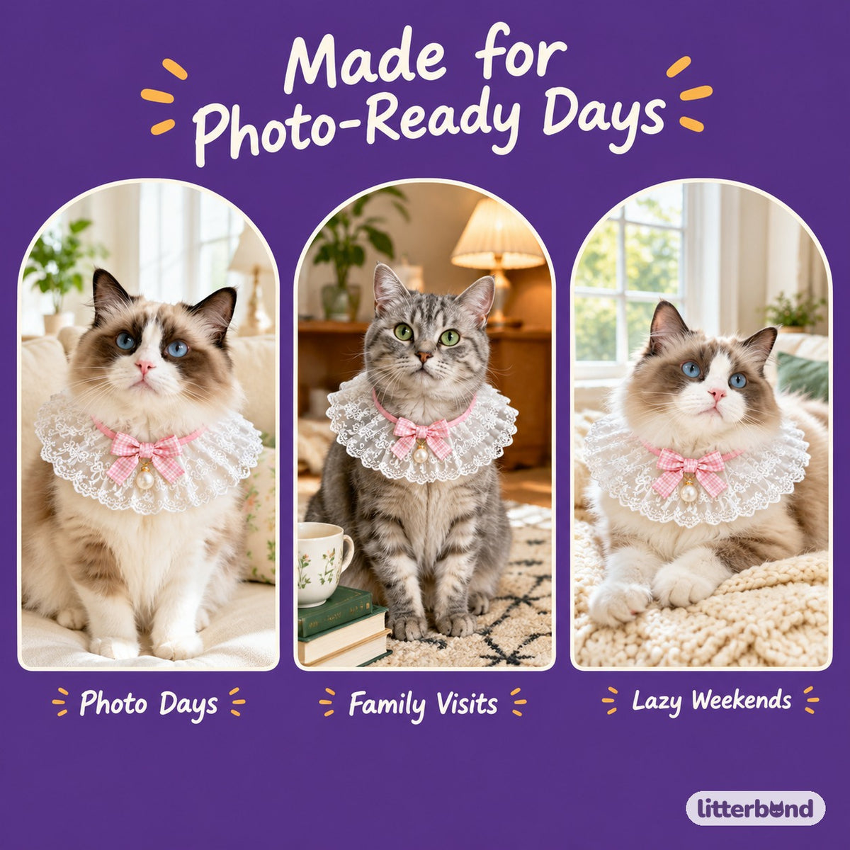 Gingham Bow Lace Collar on a cat at home