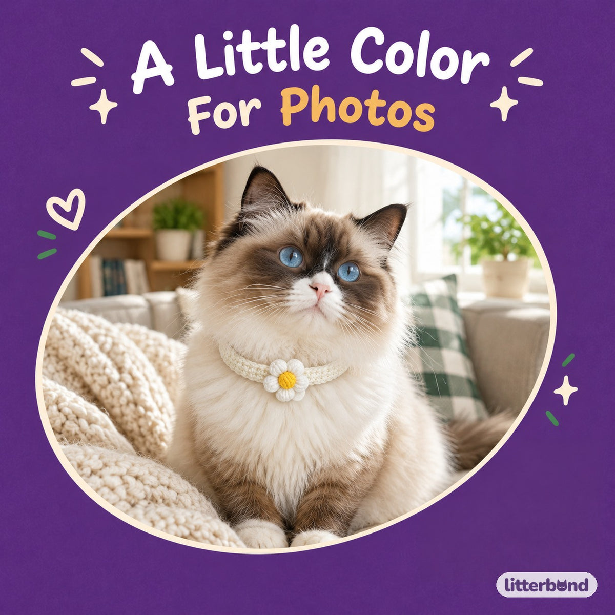 Single Puff Flower Crochet Collar on a cat