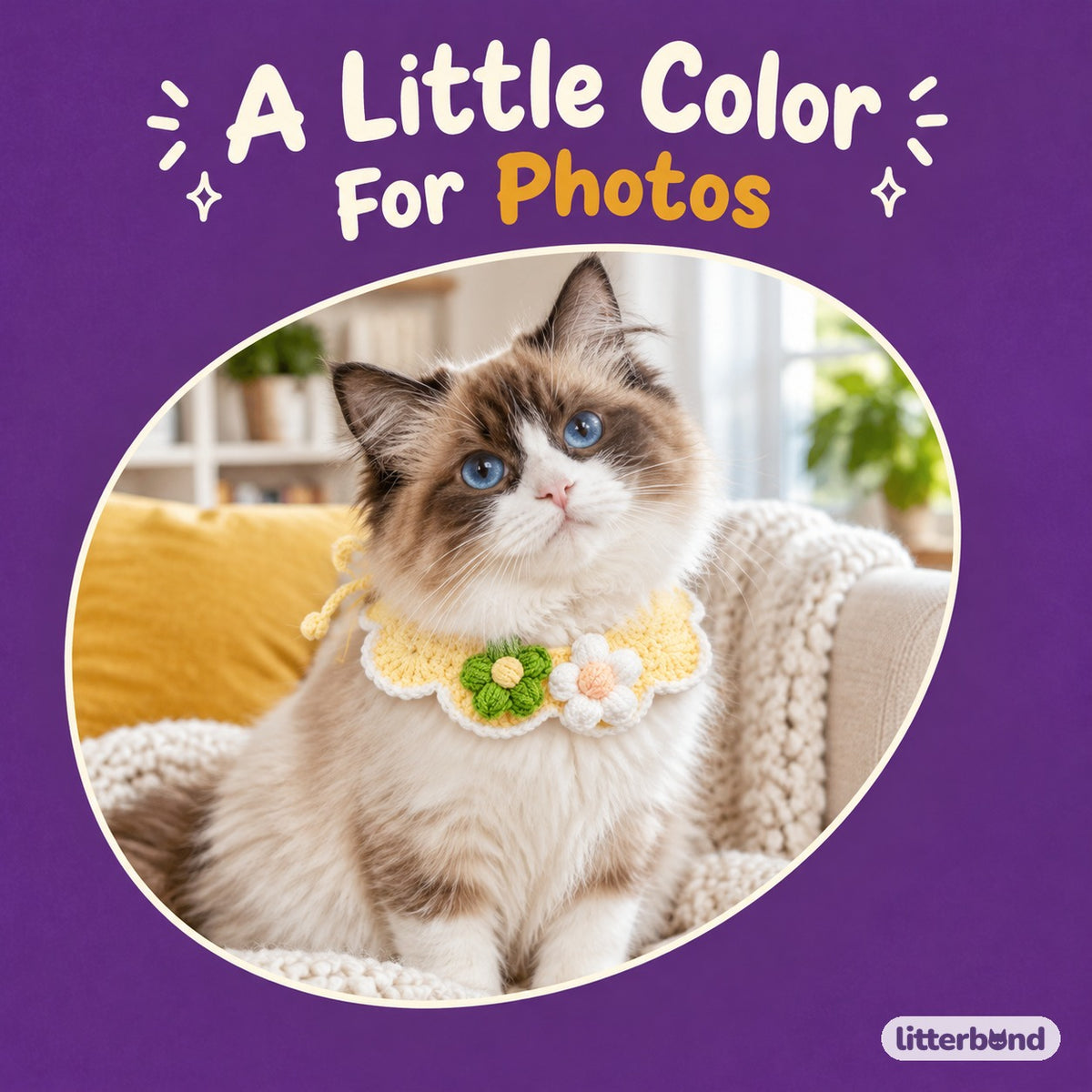 Daisy Pair Scalloped Crochet Collar on a cat