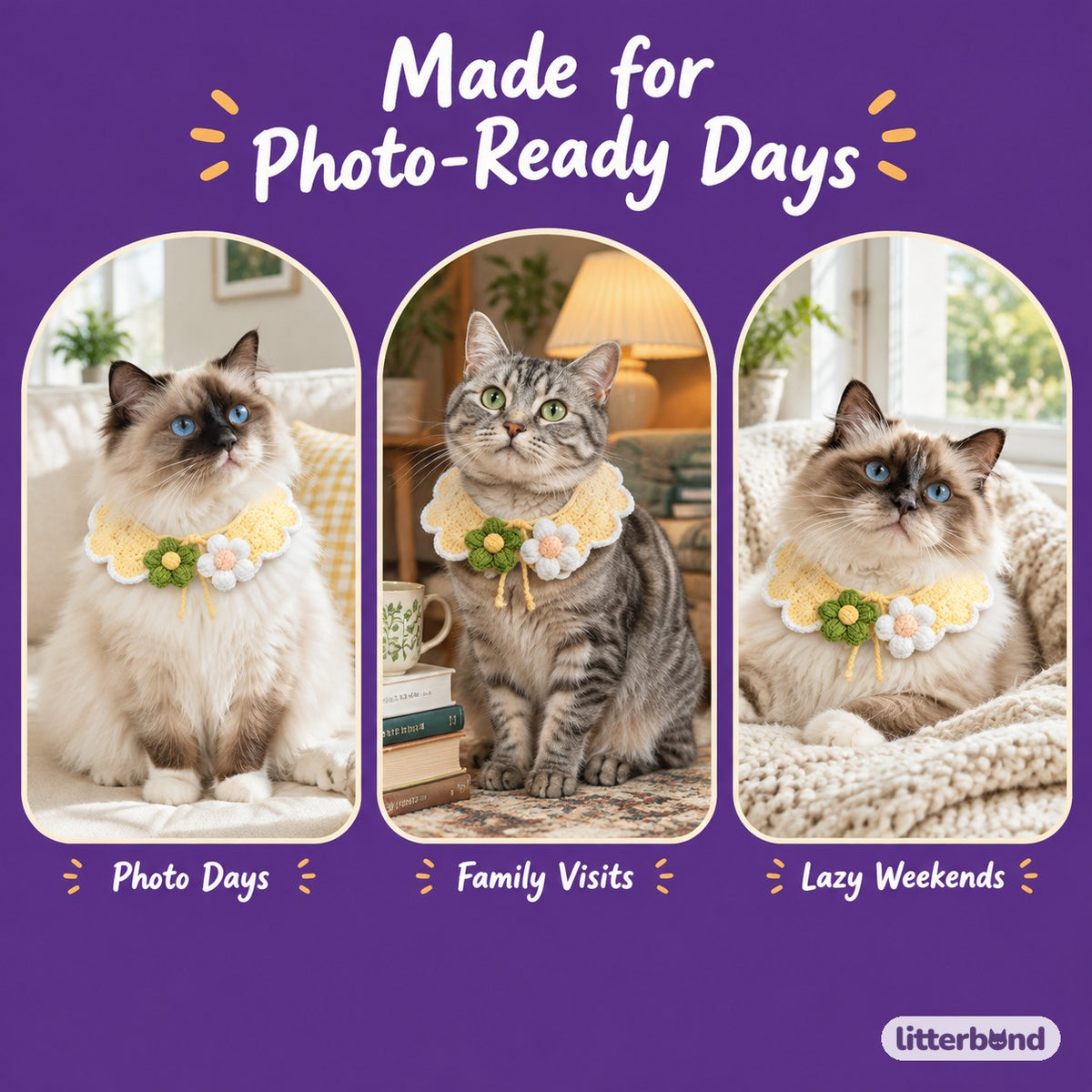 Daisy Pair Scalloped Crochet Collar on a cat at home