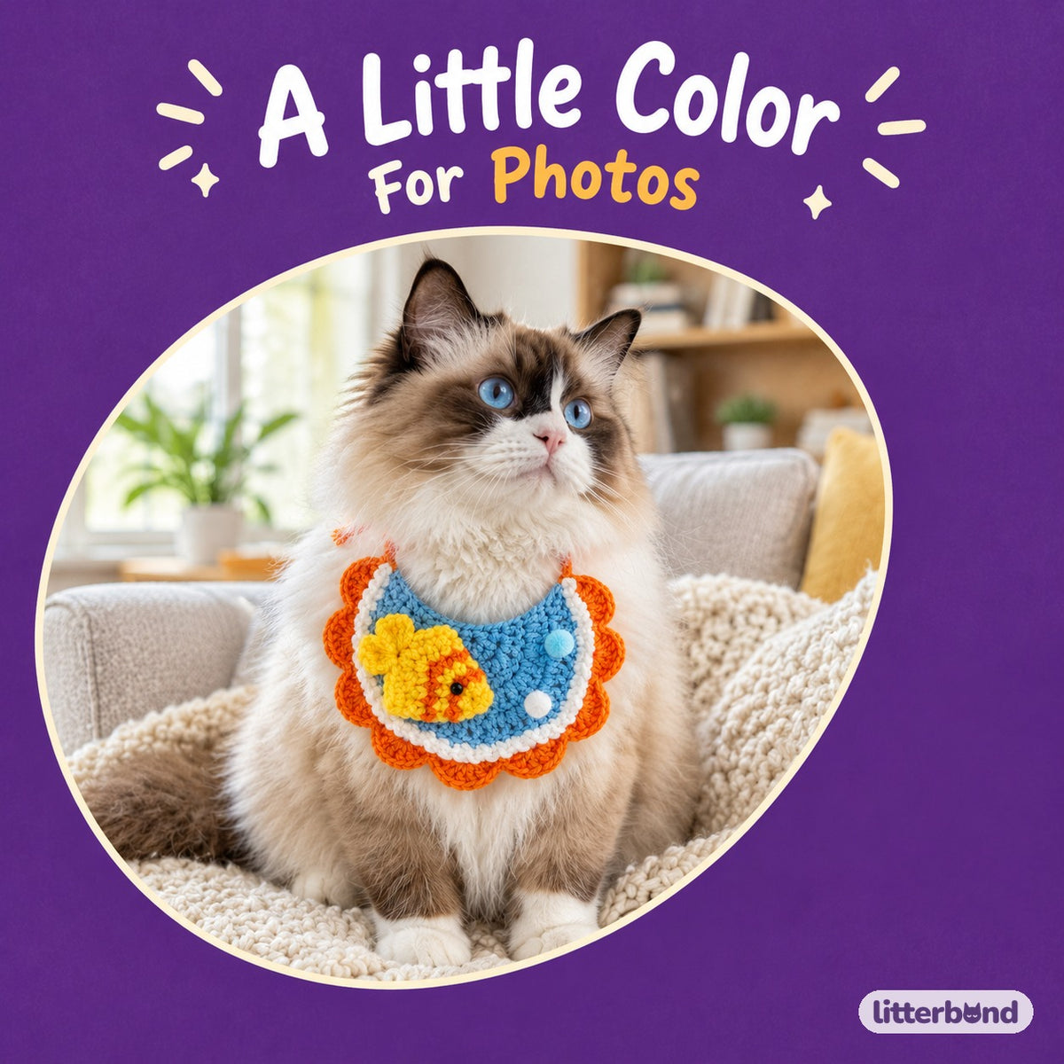 Goldfish Crochet Bib on a cat