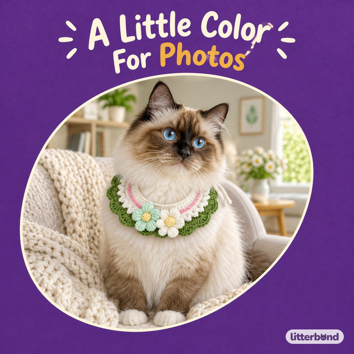 Double Flower Layered Crochet Collar on a cat
