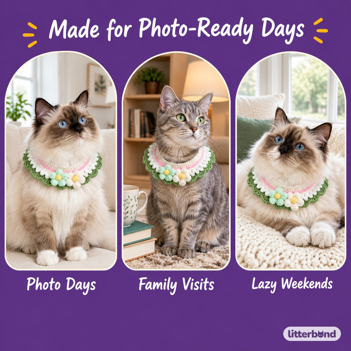 Double Flower Layered Crochet Collar on a cat at home