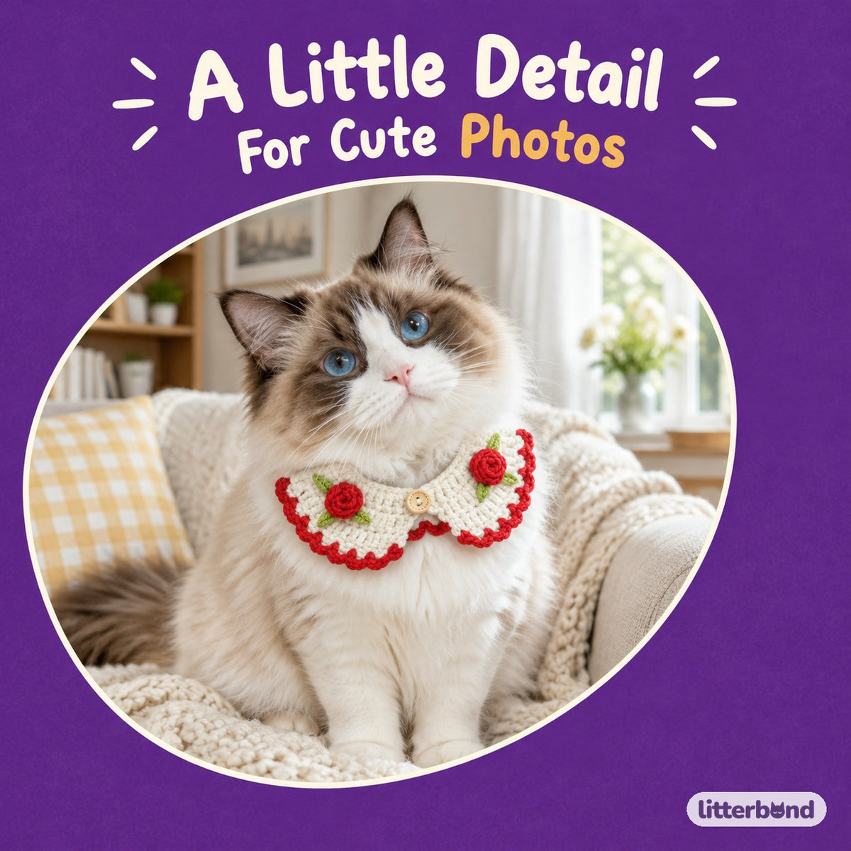 Rose Button Crochet Collar on a cat