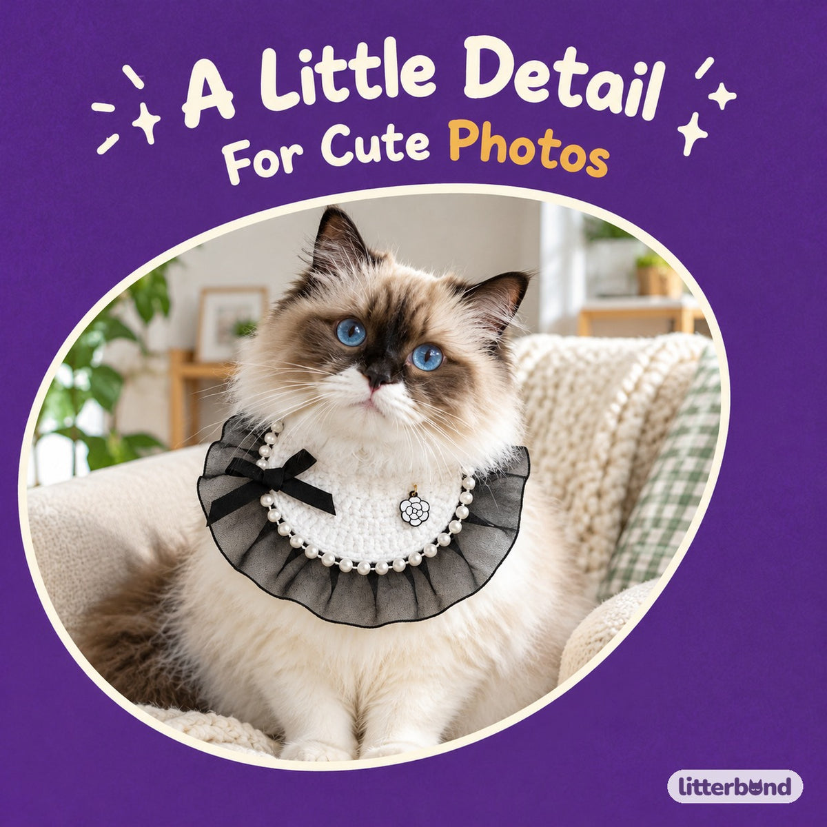 Pearl Edge Ruffle Bib on a cat