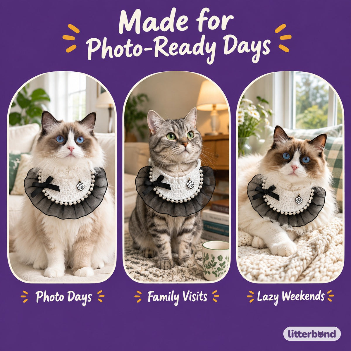 Pearl Edge Ruffle Bib on a cat at home