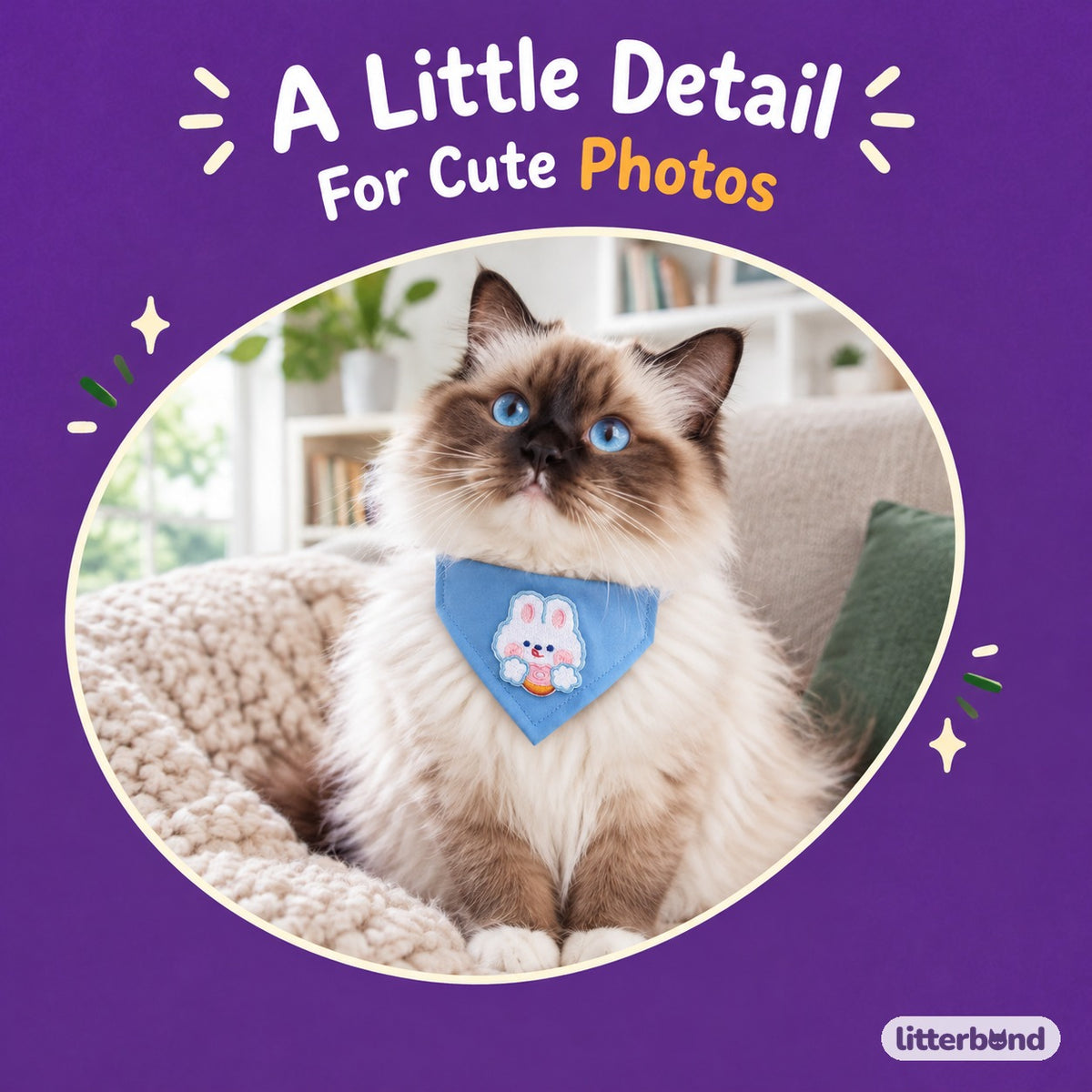 Playful Patch Triangle Bandana on a cat