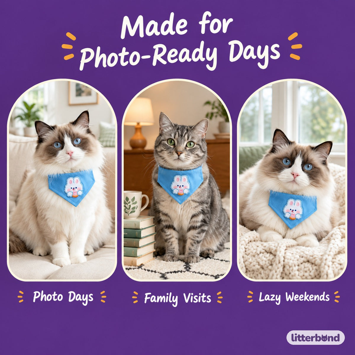 Playful Patch Triangle Bandana on a cat at home