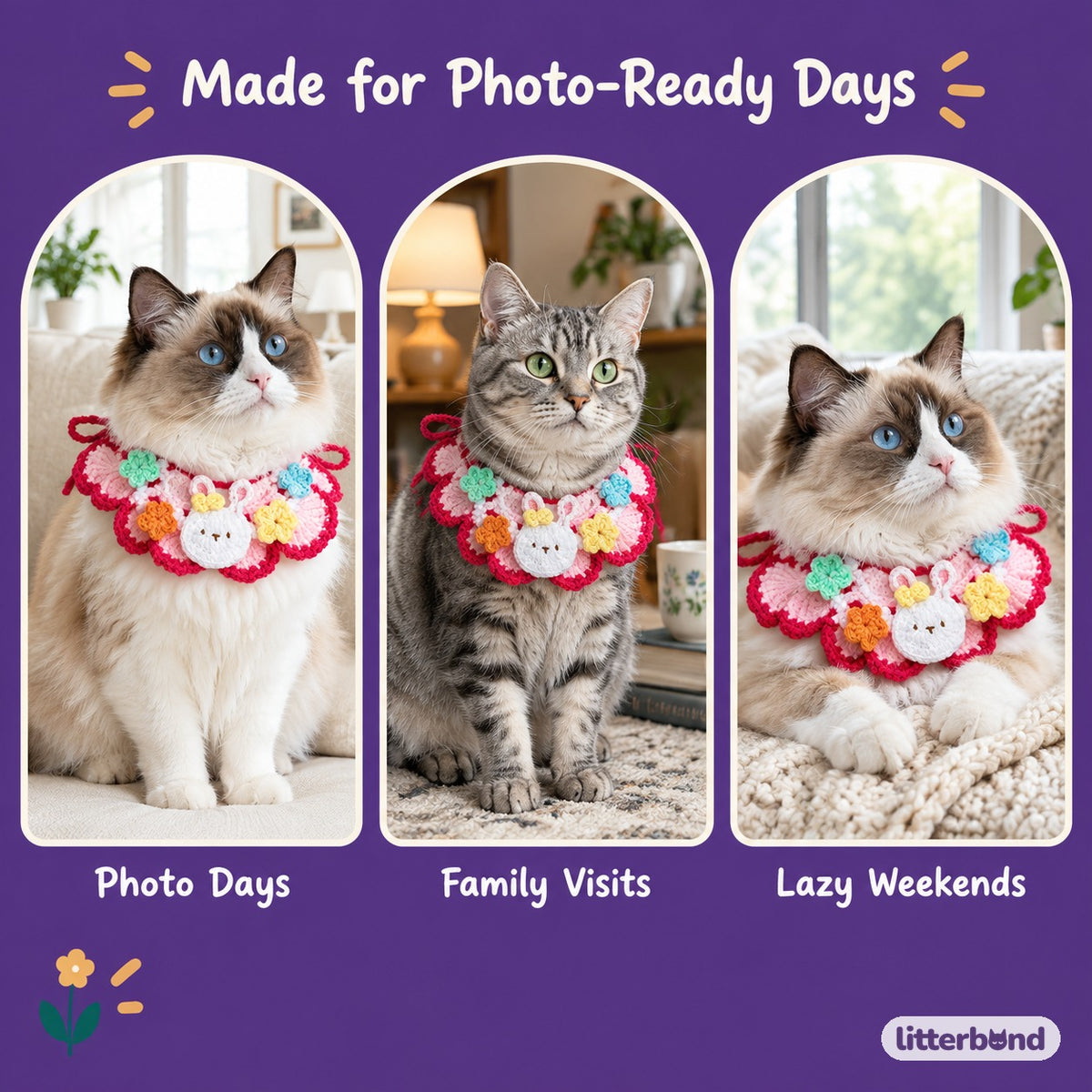 Garden Crochet Neck Ruffle on a cat at home