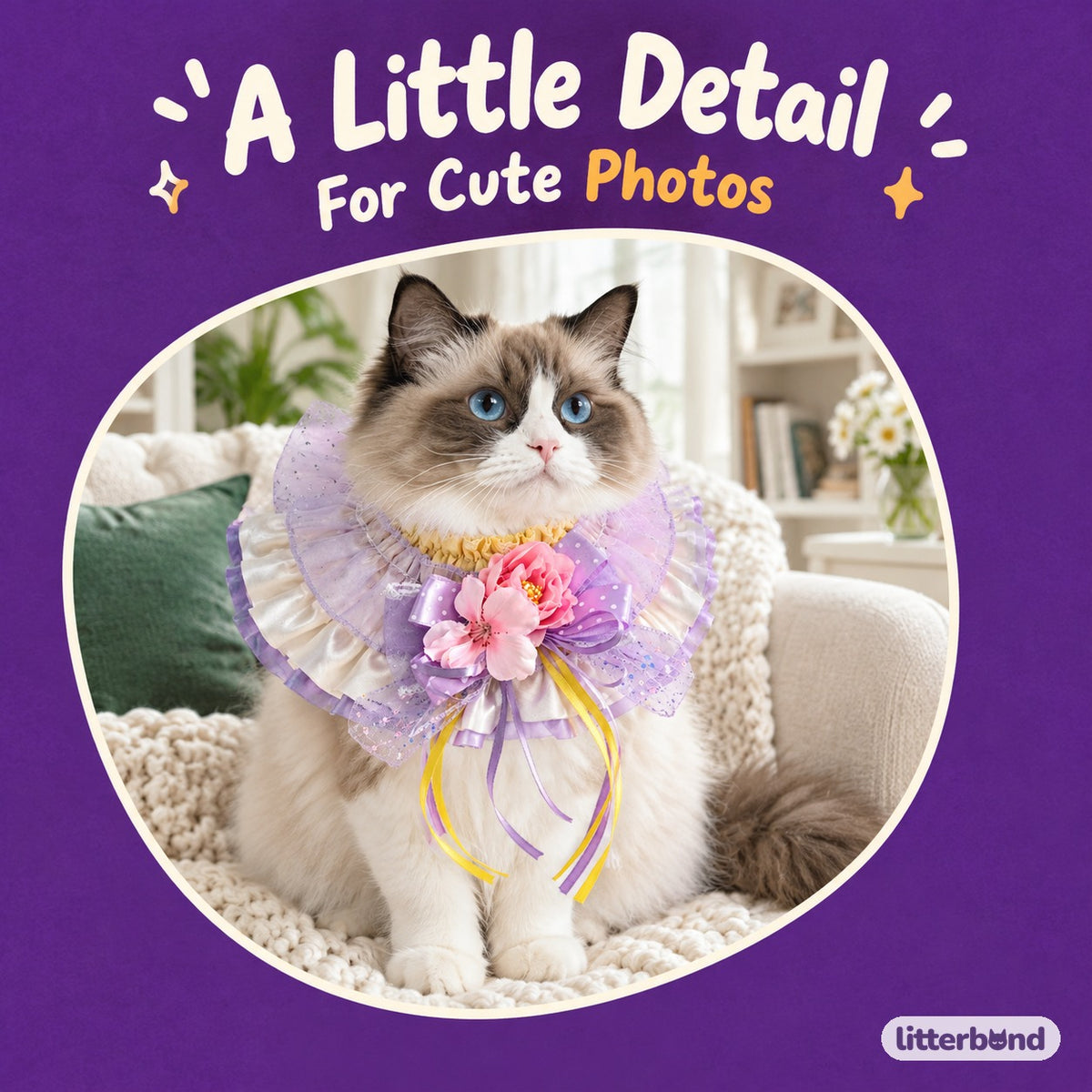 Ornate Ribbon Ruffle Collar on a cat