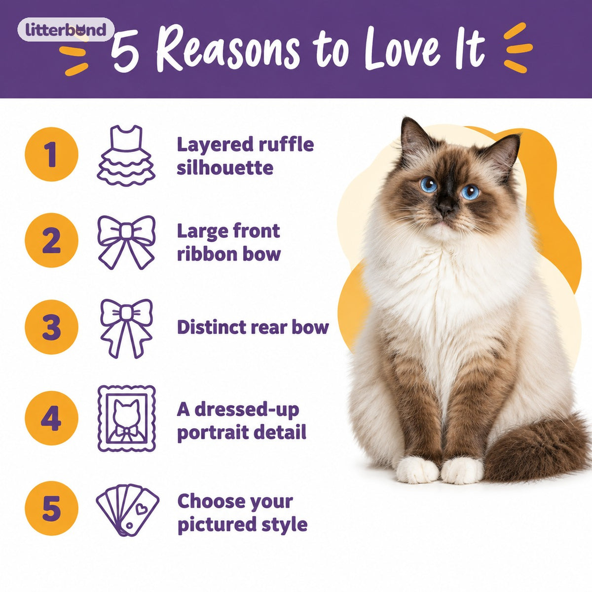 Ornate Ribbon Ruffle Collar - 5 reasons to love it