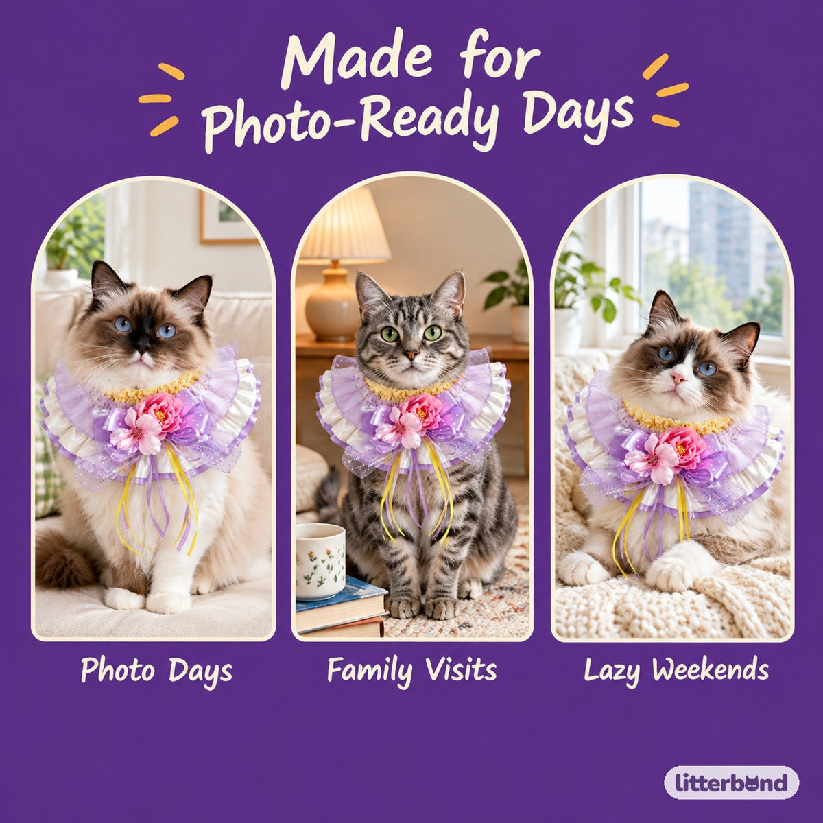 Ornate Ribbon Ruffle Collar on a cat at home