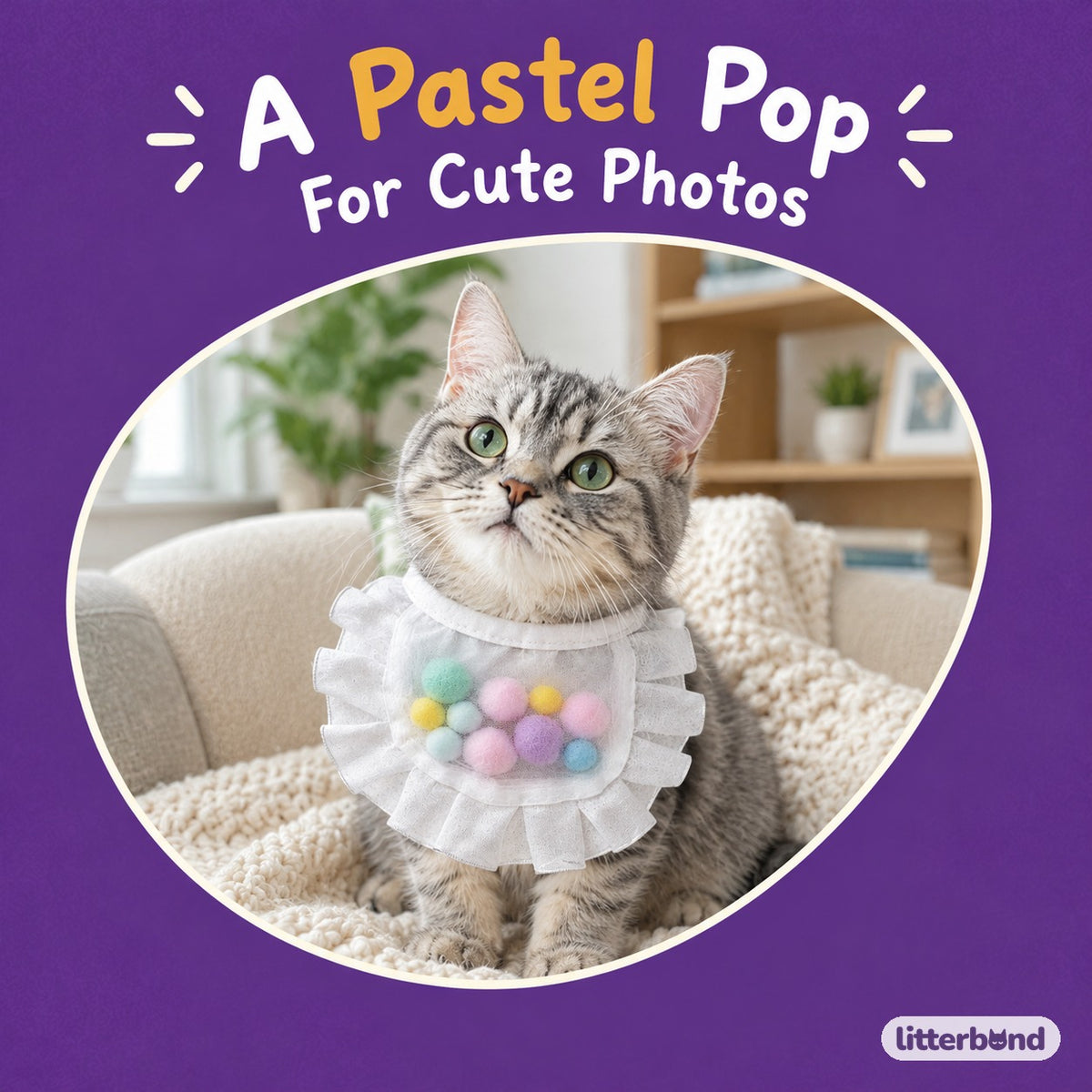 Pastel Pom-Pom Ruffle Bib on a cat