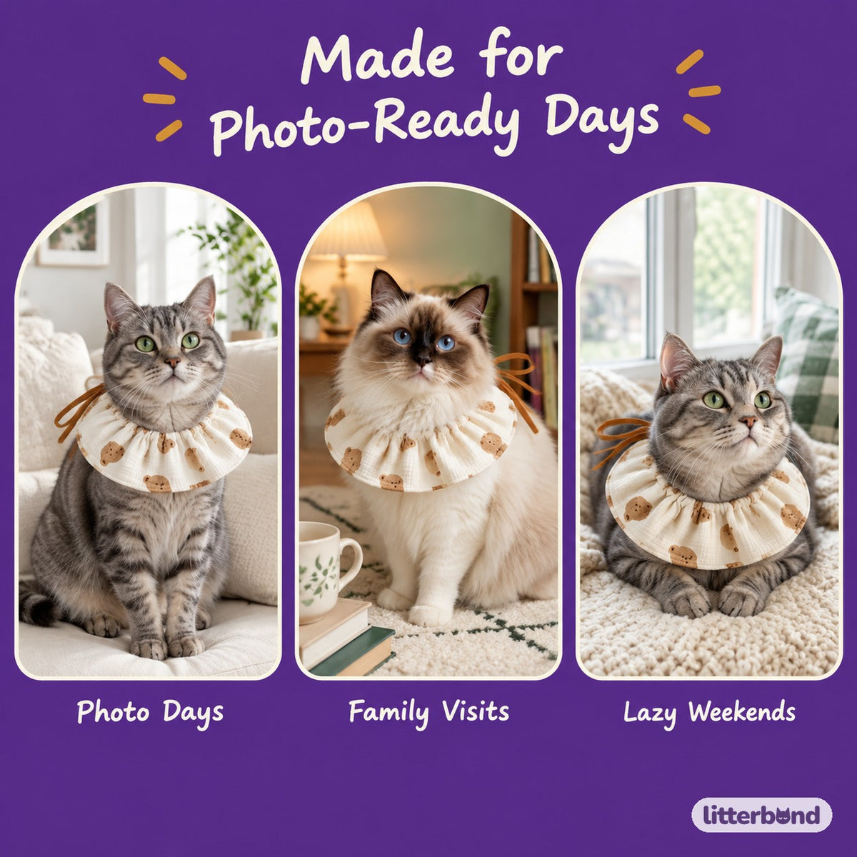 Bear Print Gauze Ruffle on a cat at home