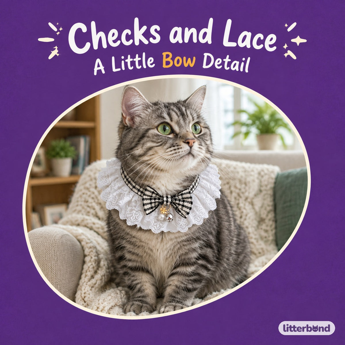 Checked Bow Lace Ruffle on a cat