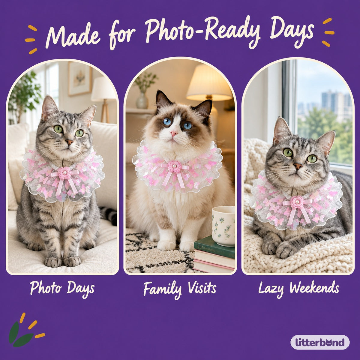 Butterfly Flower Tulle Ruffle on a cat at home