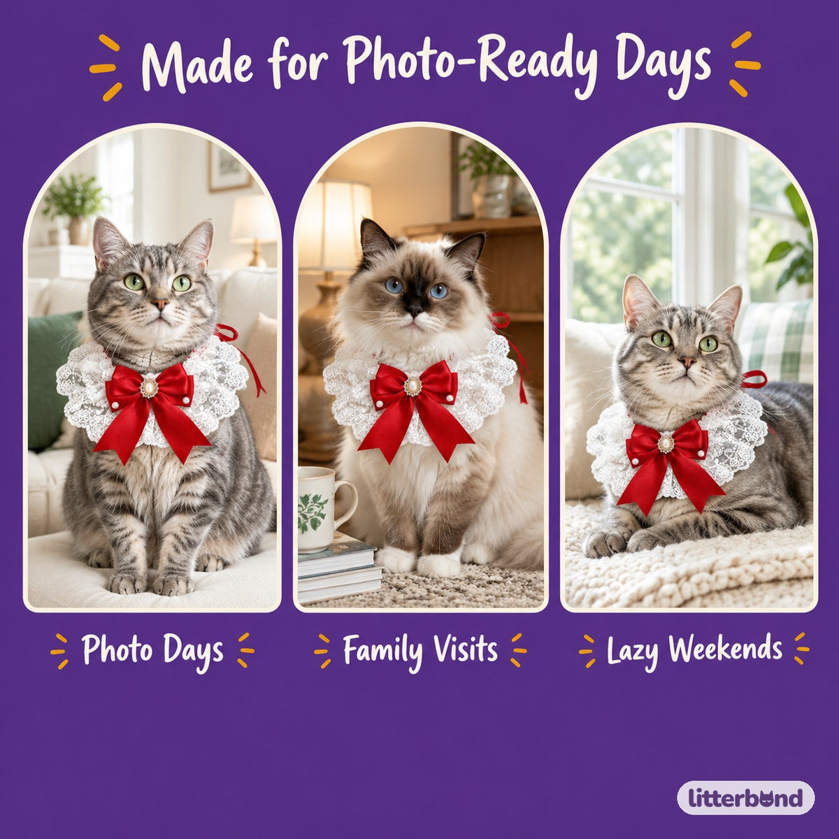 Pearl Center Lace Bow Ruffle on a cat at home