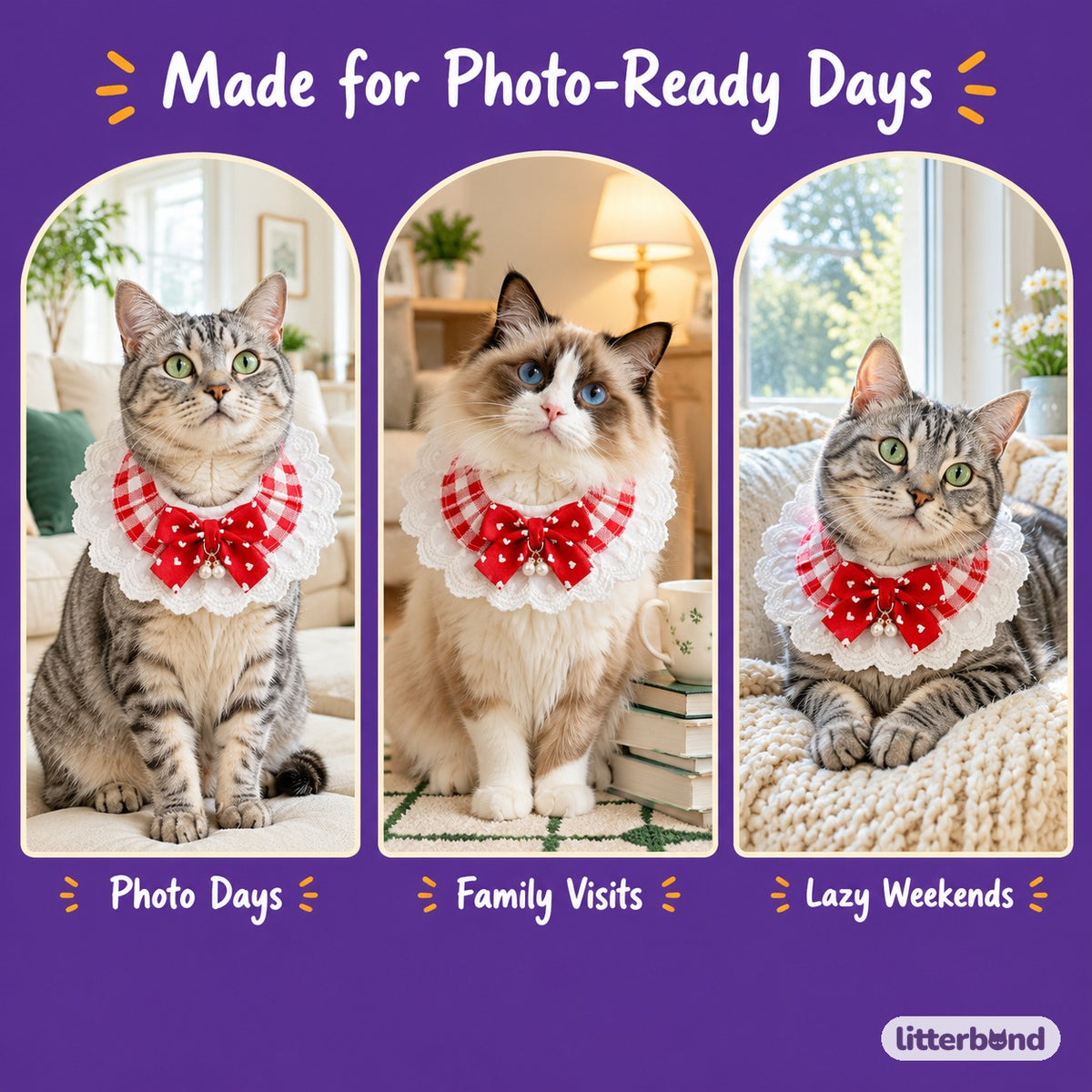 Gingham Pearl Drop Bow Ruffle on a cat at home