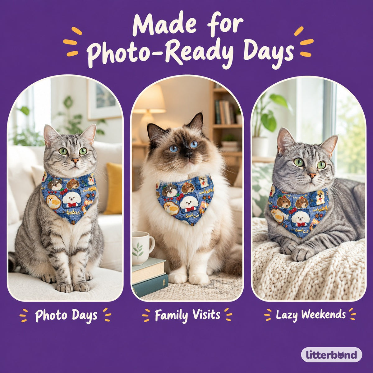 Puppy Print Bandana & Collar on a cat at home