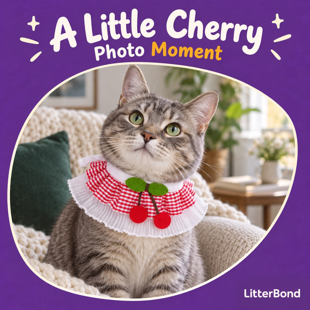 Cherry Gingham Ruffle Collar on a cat
