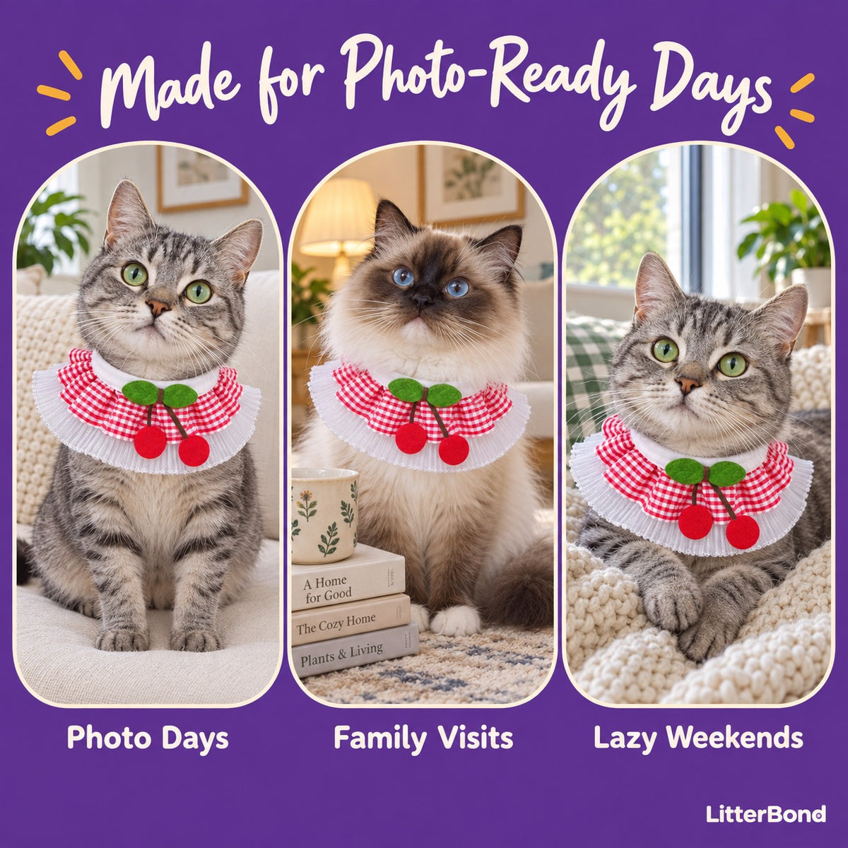 Cherry Gingham Ruffle Collar on a cat at home