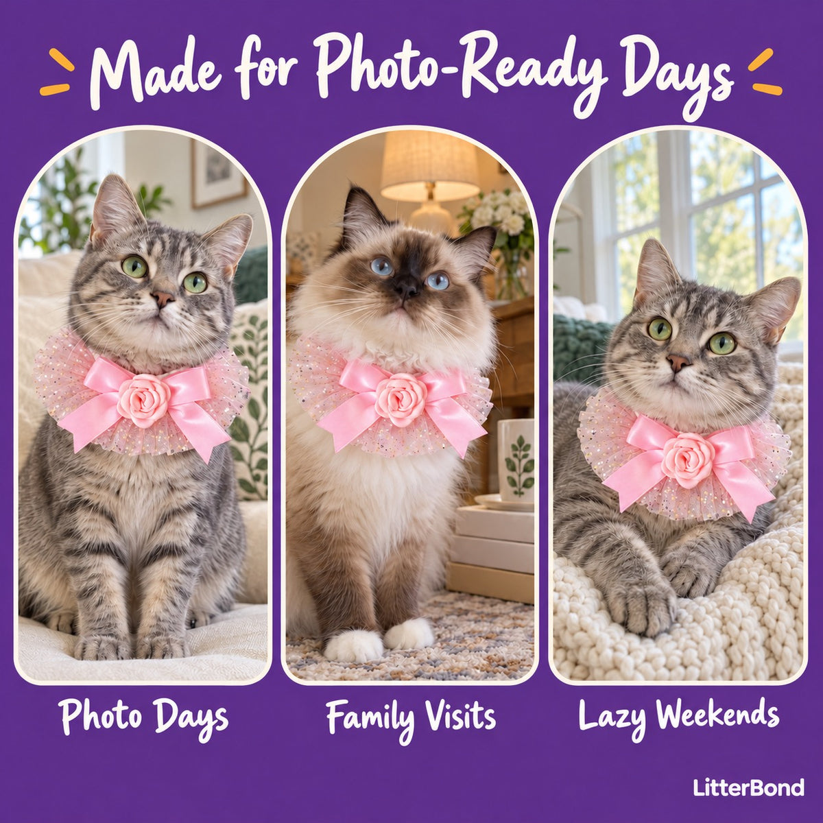Rose Bow Tulle Collar on a cat at home