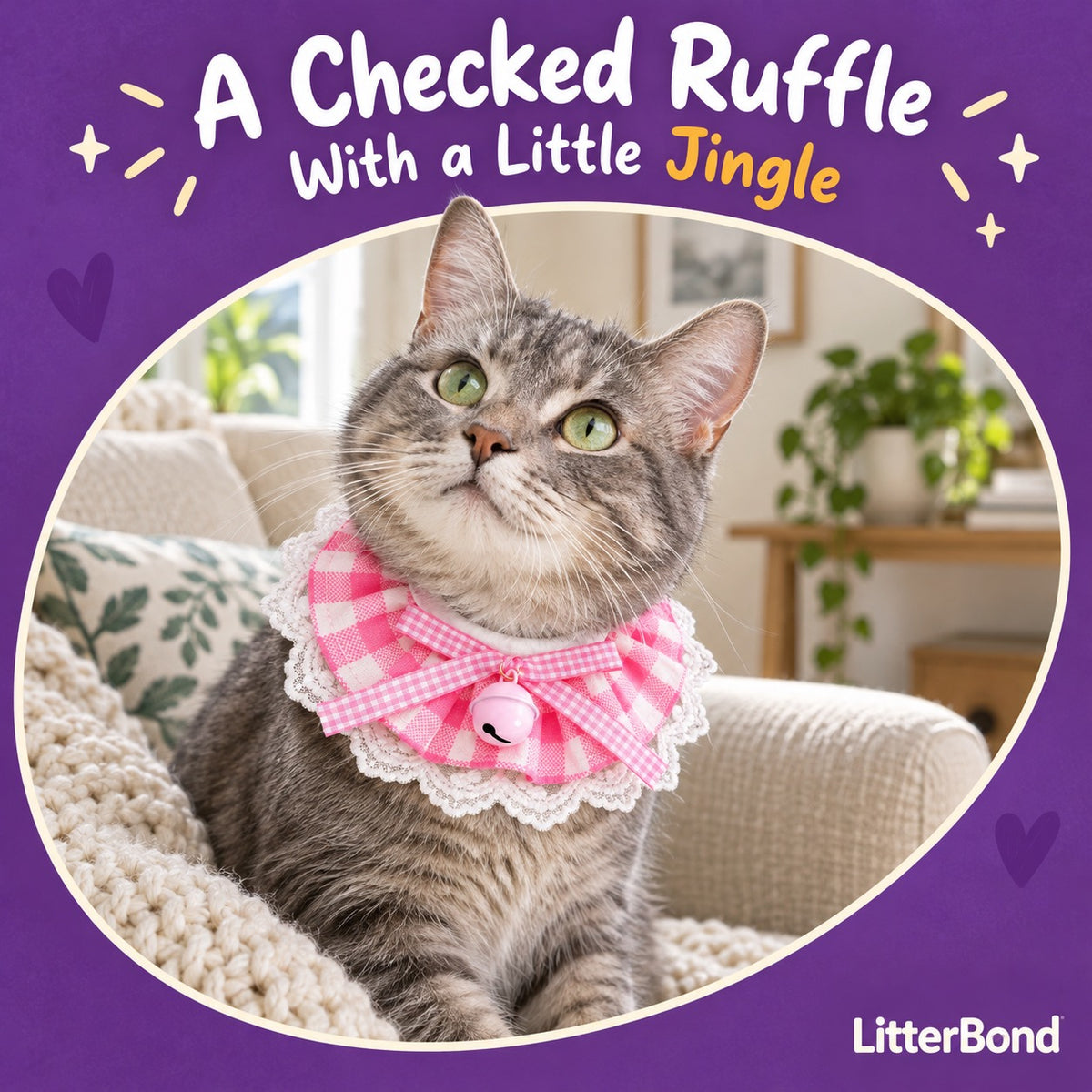 Gingham Bell Ruffle Collar on a cat