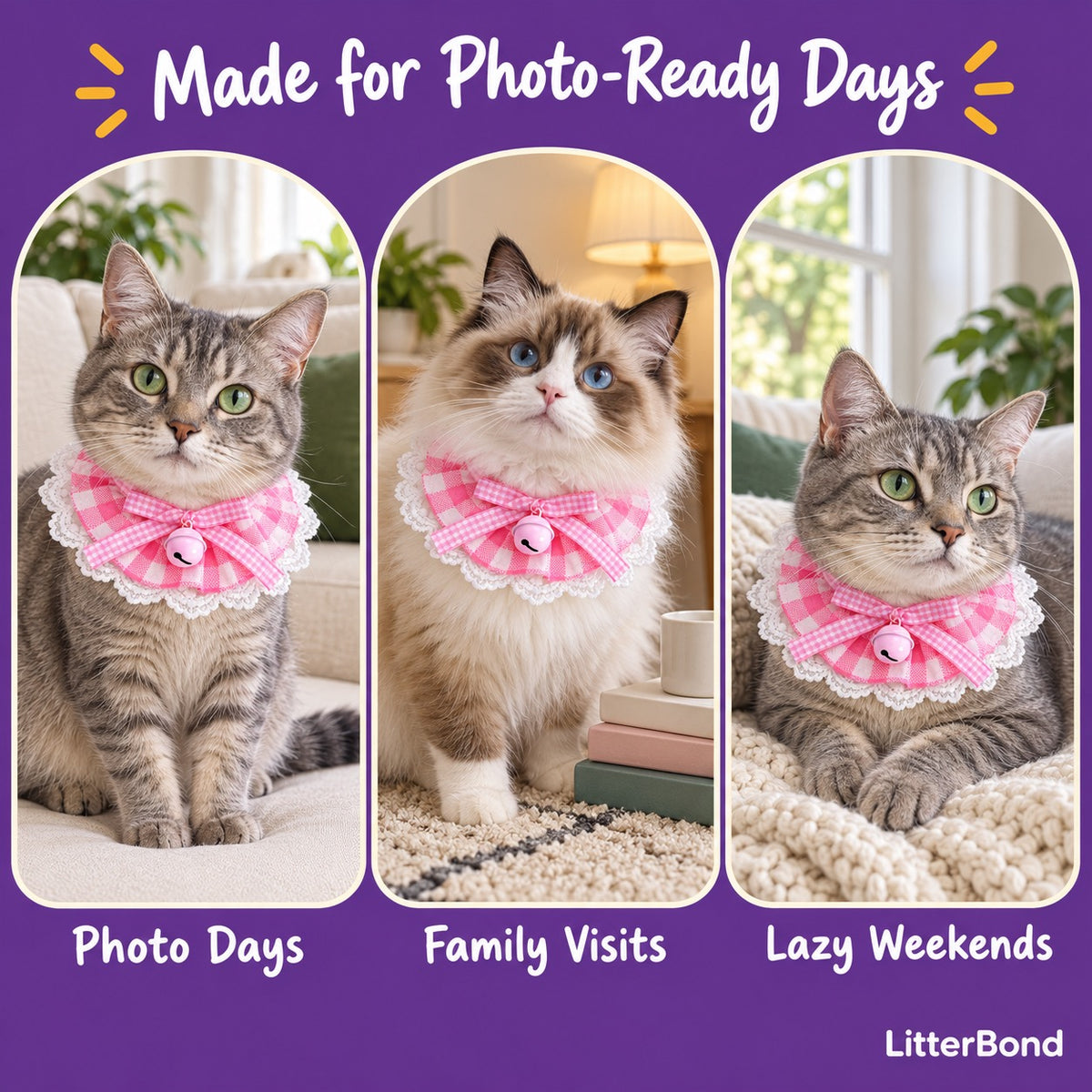 Gingham Bell Ruffle Collar on a cat at home