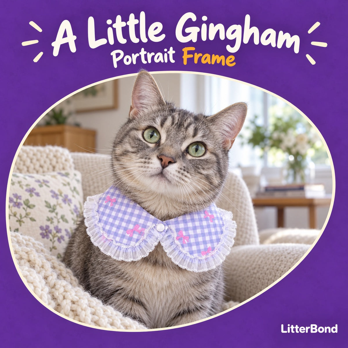 Bow-Print Gingham Frill Collar on a cat