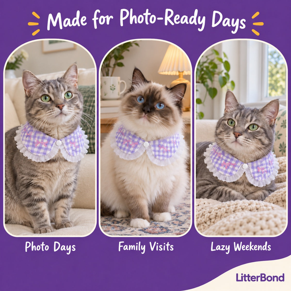 Bow-Print Gingham Frill Collar on a cat at home