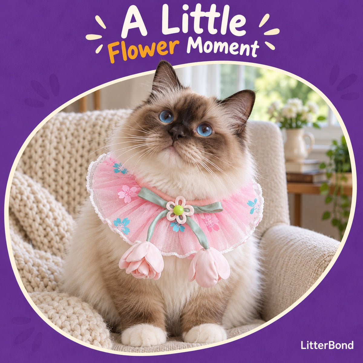 Floral Tulle Blossom Collar on a cat