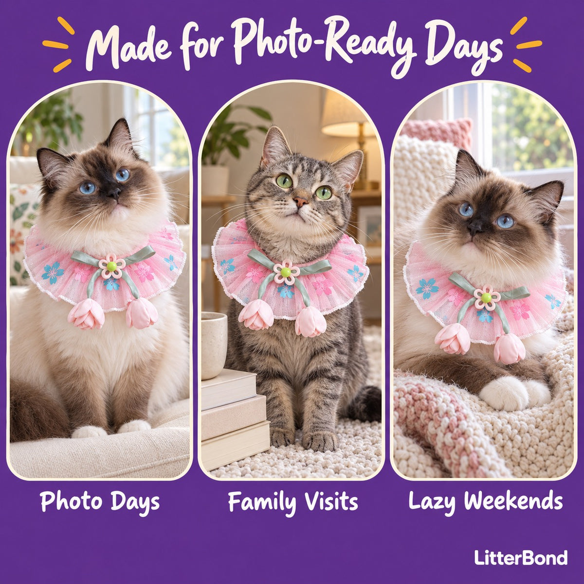 Floral Tulle Blossom Collar on a cat at home