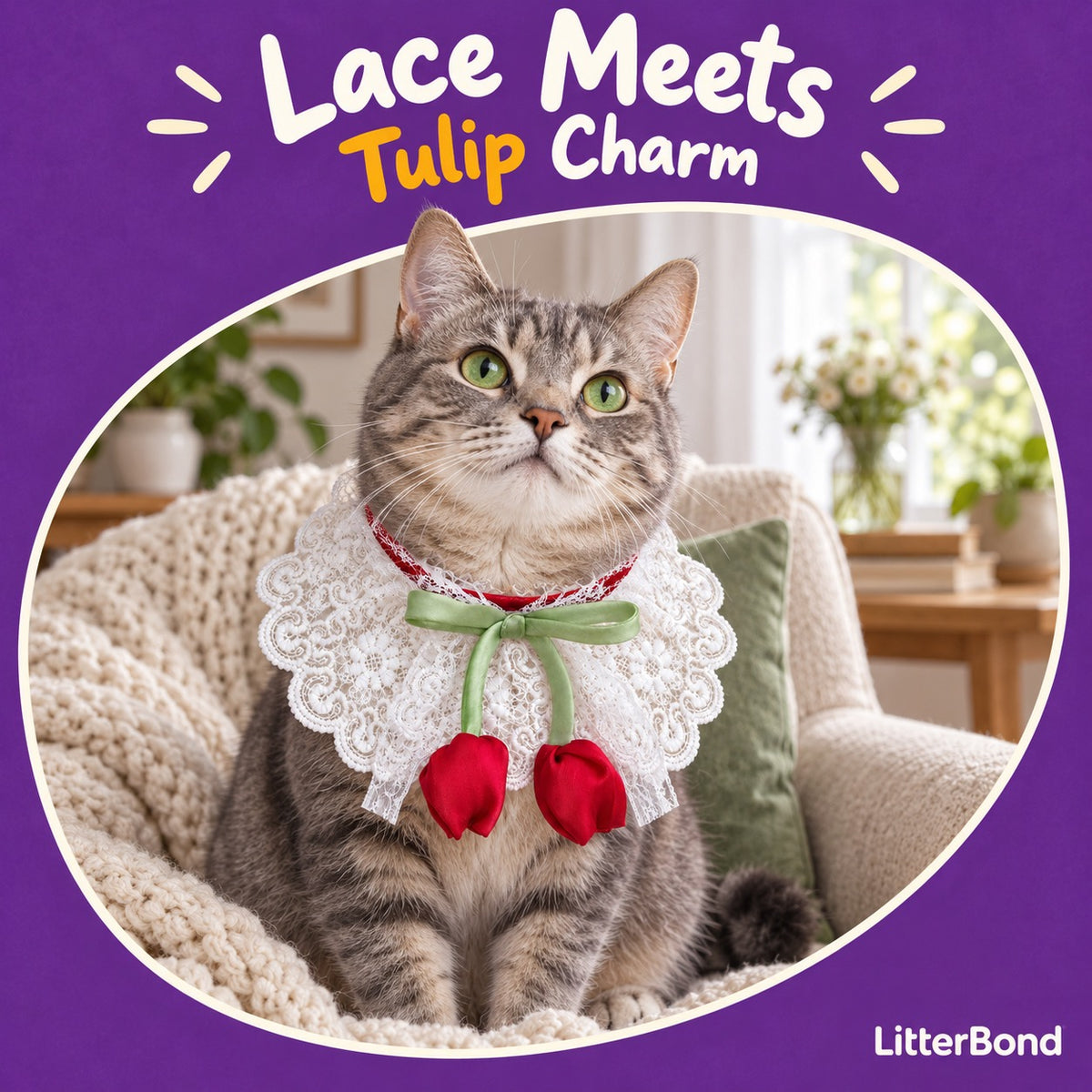 Tulip Lace Neck Ruffle on a cat