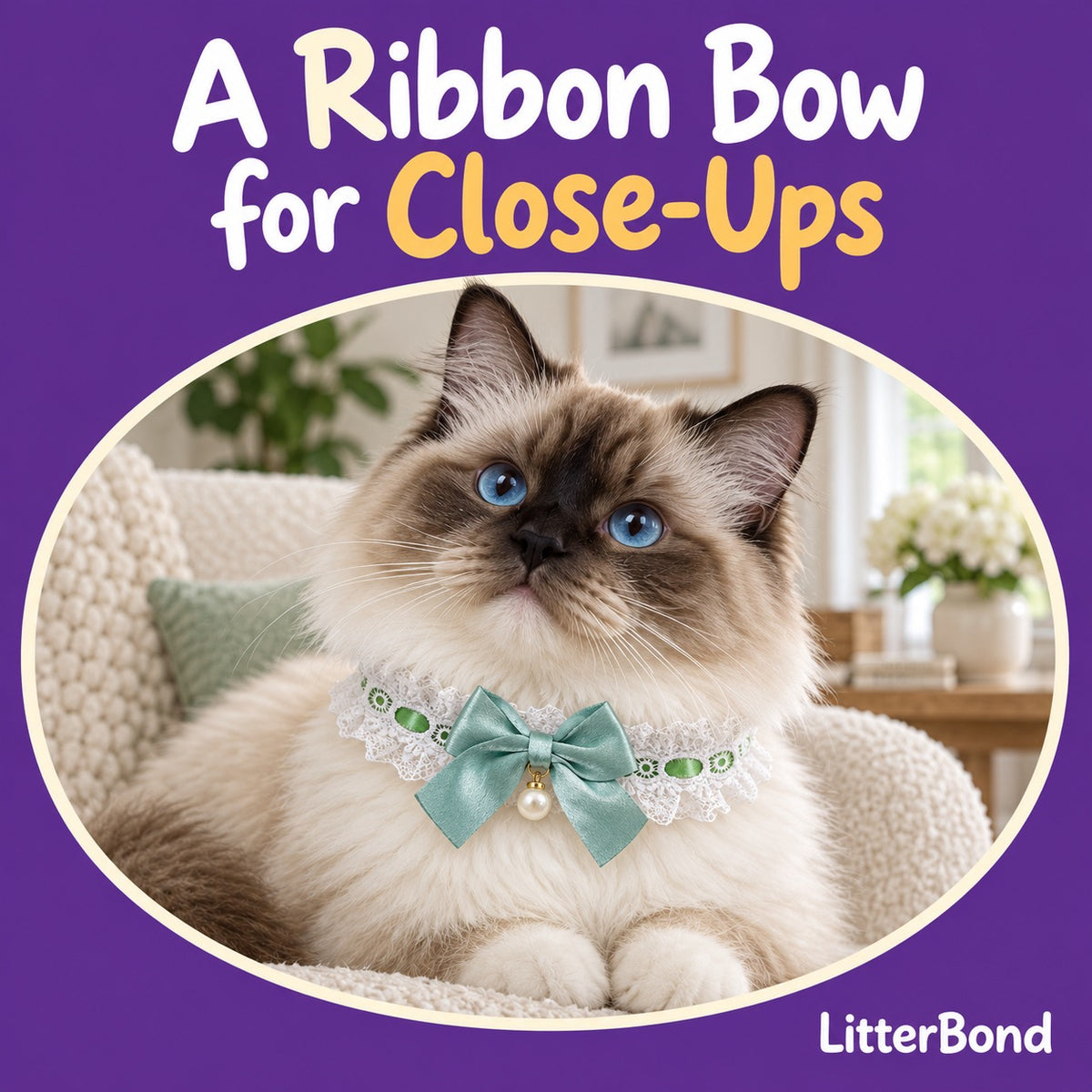 Pearl-Drop Ribbon Bow Lace Collar on a cat