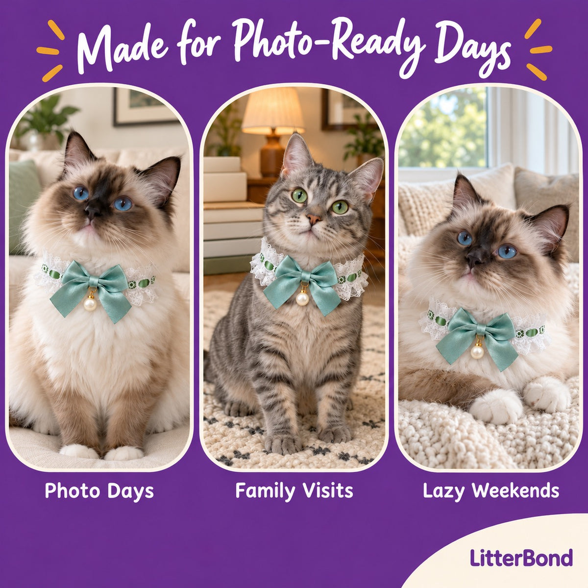 Pearl-Drop Ribbon Bow Lace Collar on a cat at home
