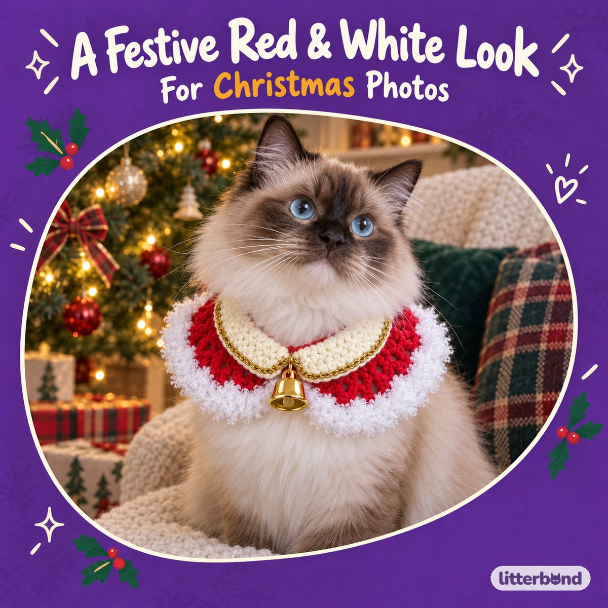Red & White Christmas Crochet Collar - Gold Bell collar on a cat by a Christmas tree