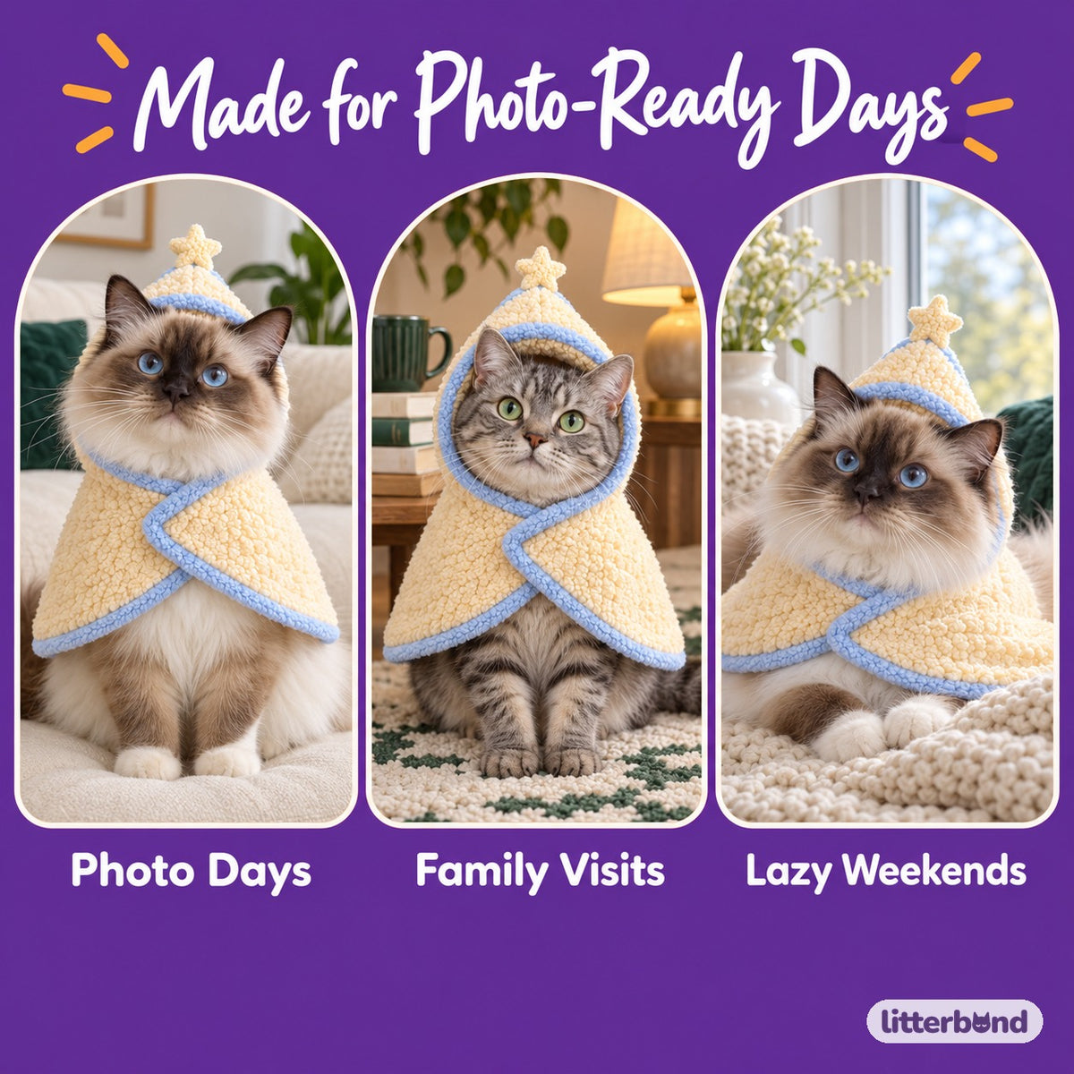 Plush Cat Poncho for Photos on a cat at home