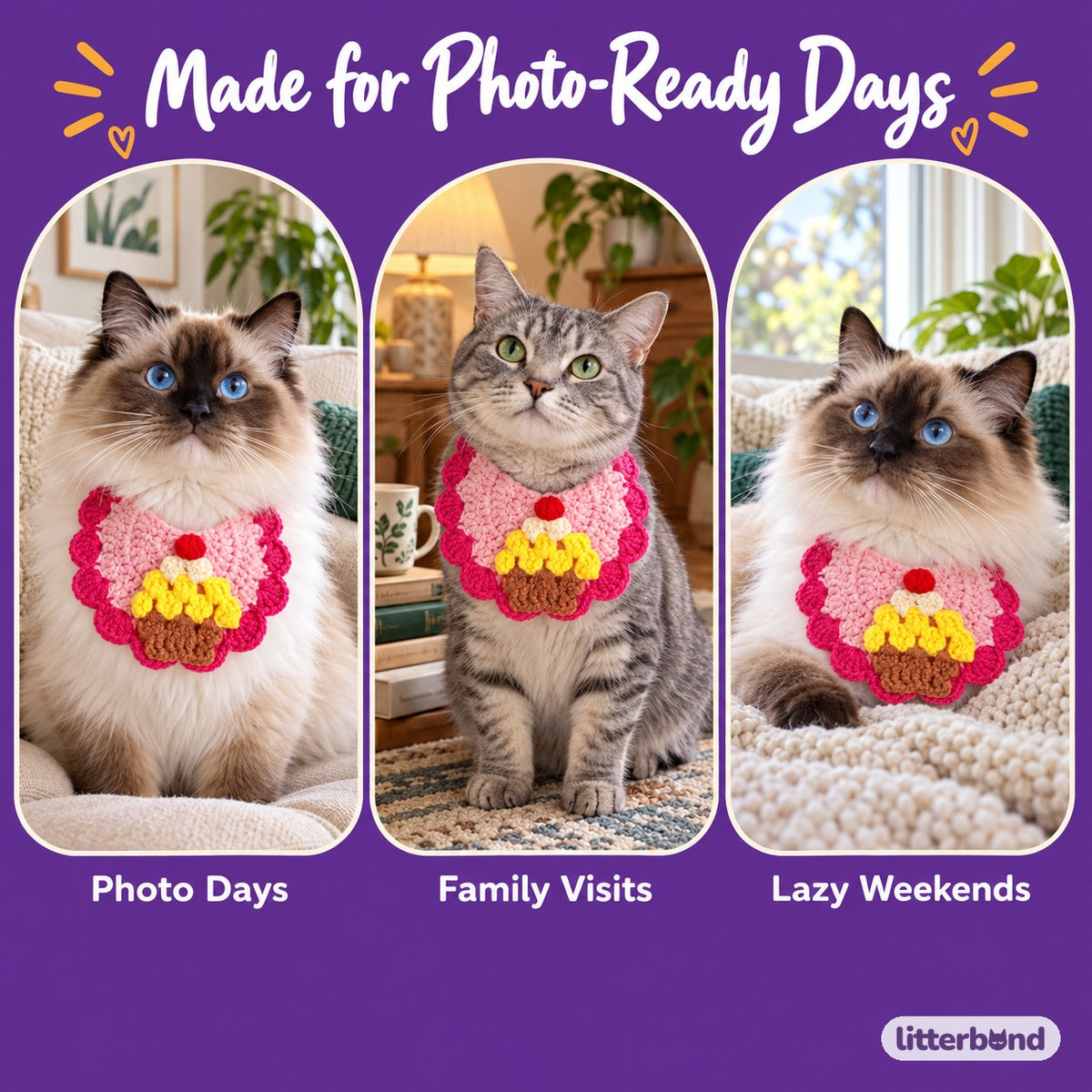 Scalloped Crochet Pet Bib on a cat at home
