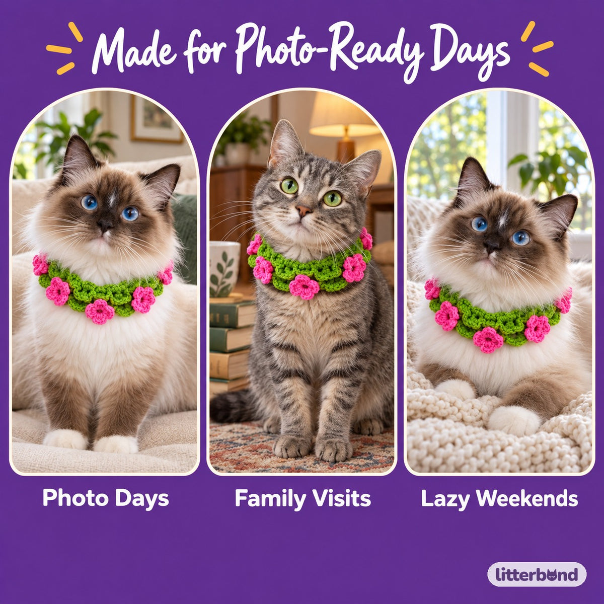 Floral Bloom Crochet Collar on a cat at home