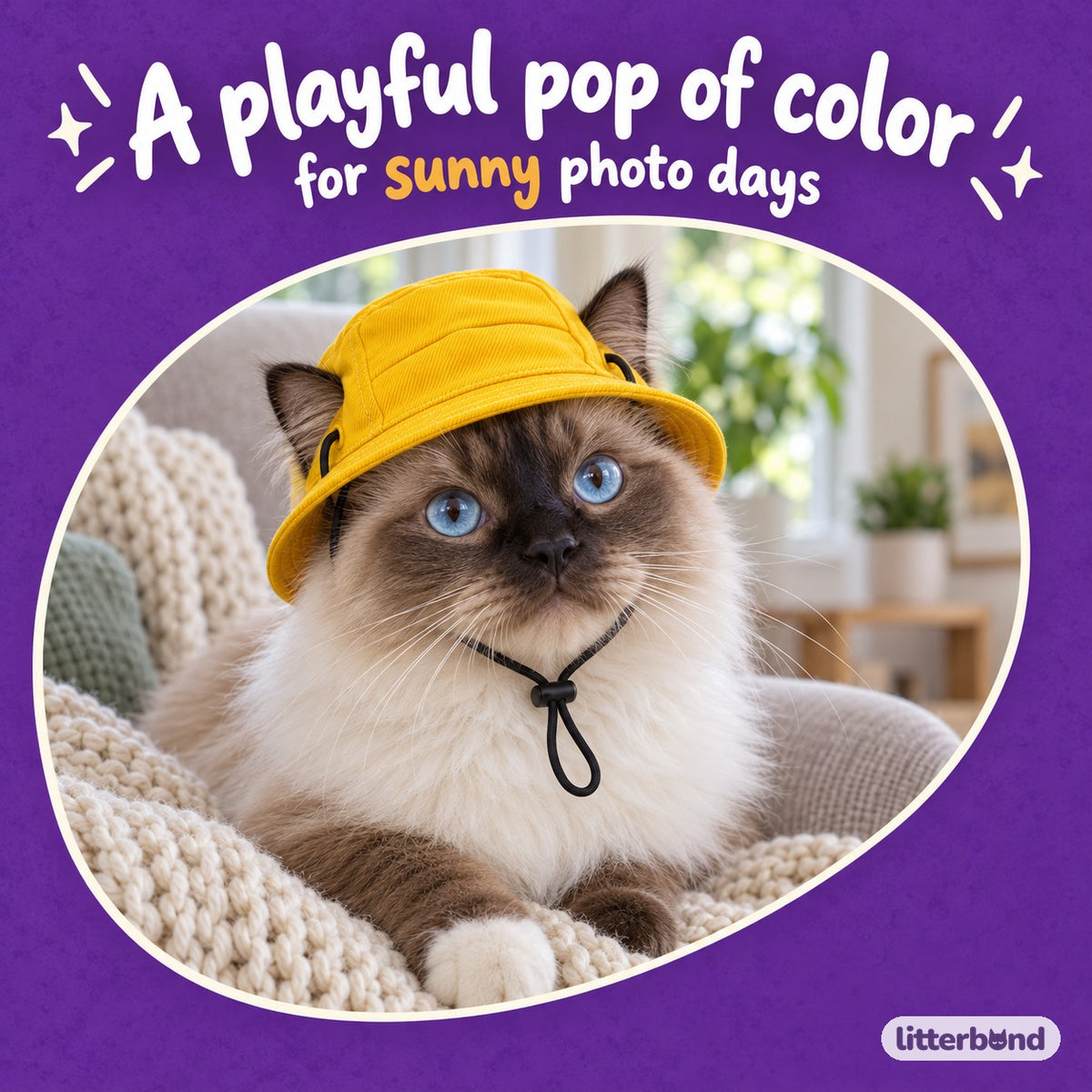 Denim Bucket Hat for Photos on a cat