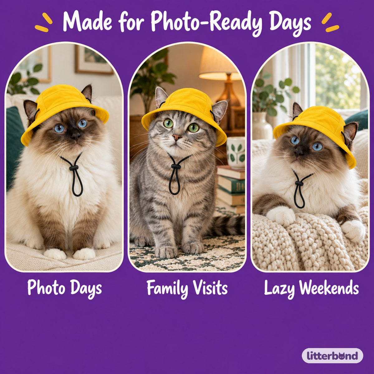 Denim Bucket Hat for Photos on a cat at home