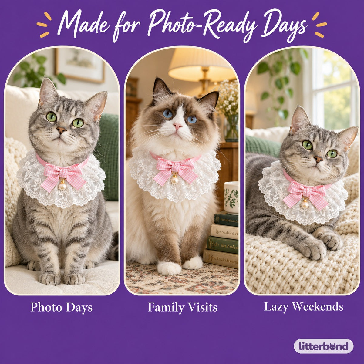 Gingham Bow Lace Bib Collar on a cat at home