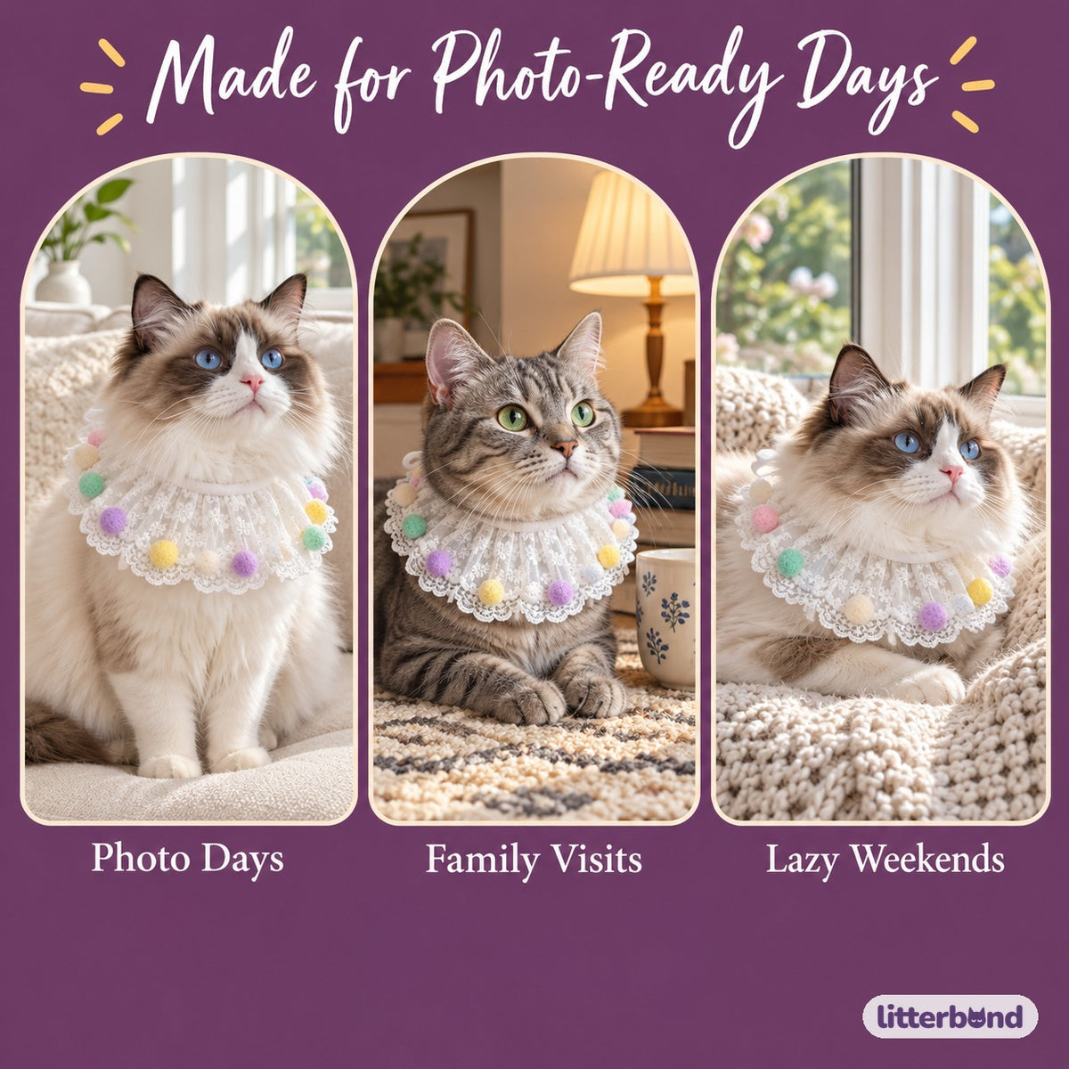 Pastel Lace Pom-Pom Bib Collar on a cat at home