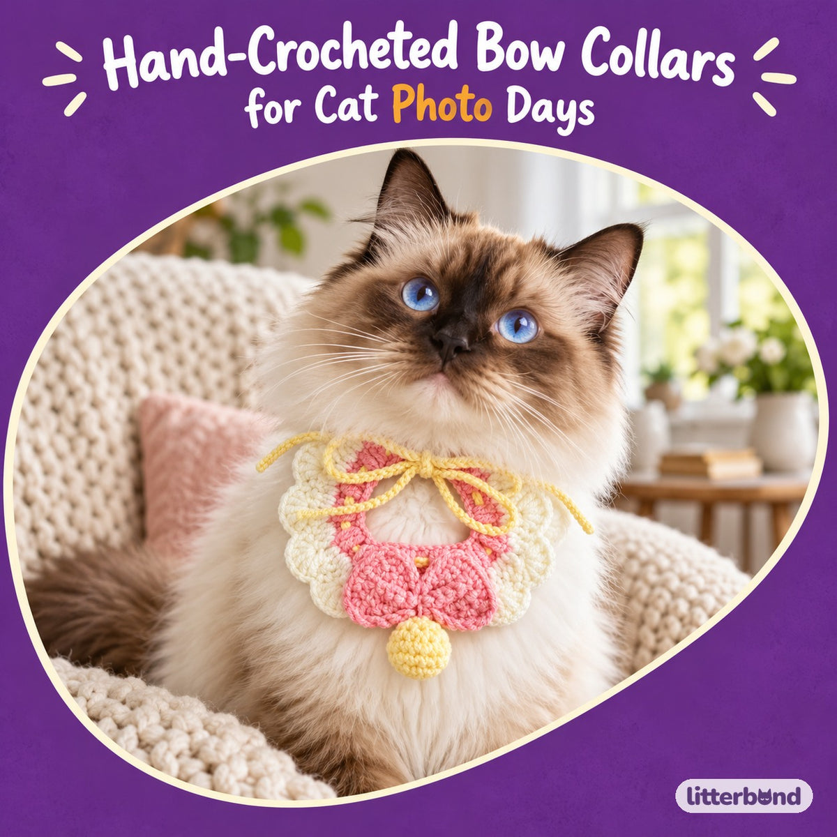 Scalloped Bow Crochet Necklace on a cat