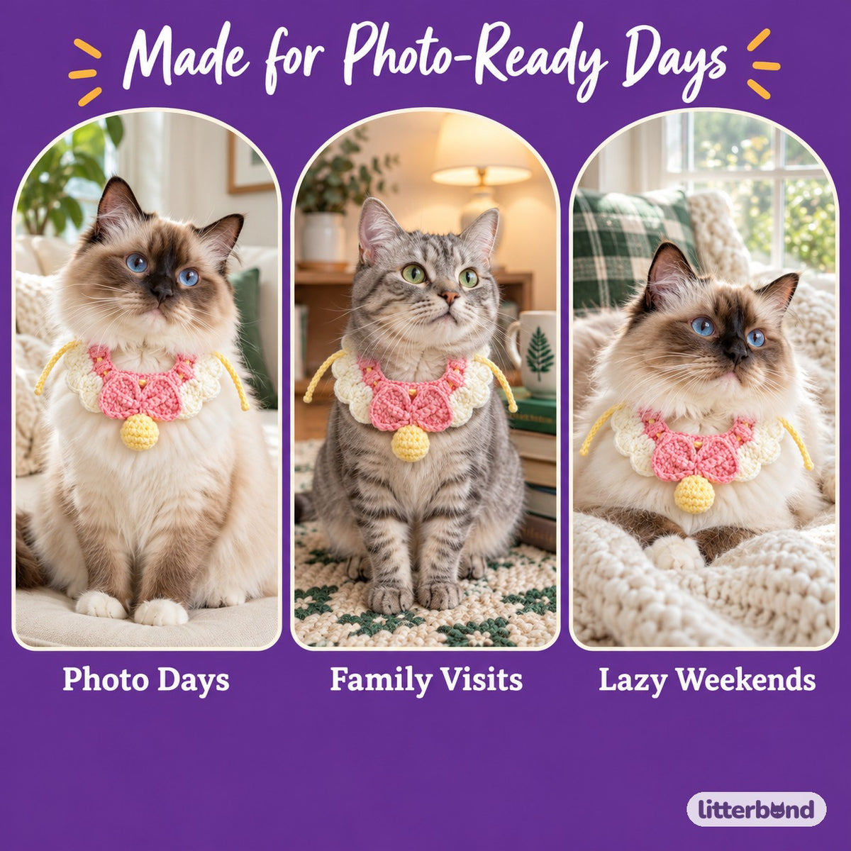 Scalloped Bow Crochet Necklace on a cat at home