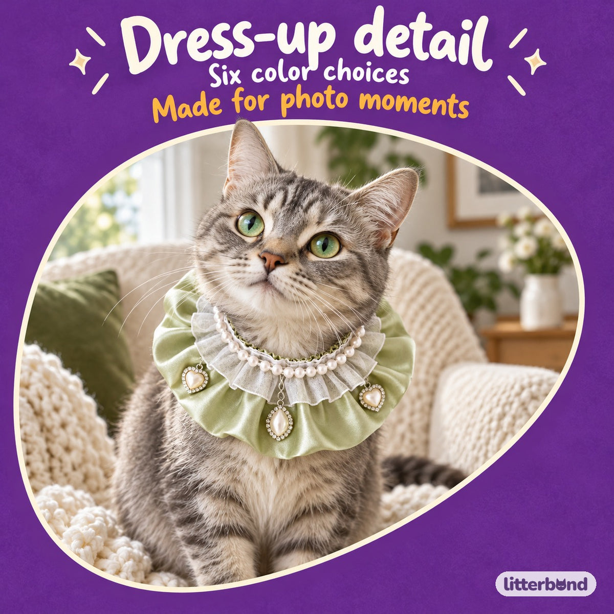 Satin Lace Photo Collar on a cat