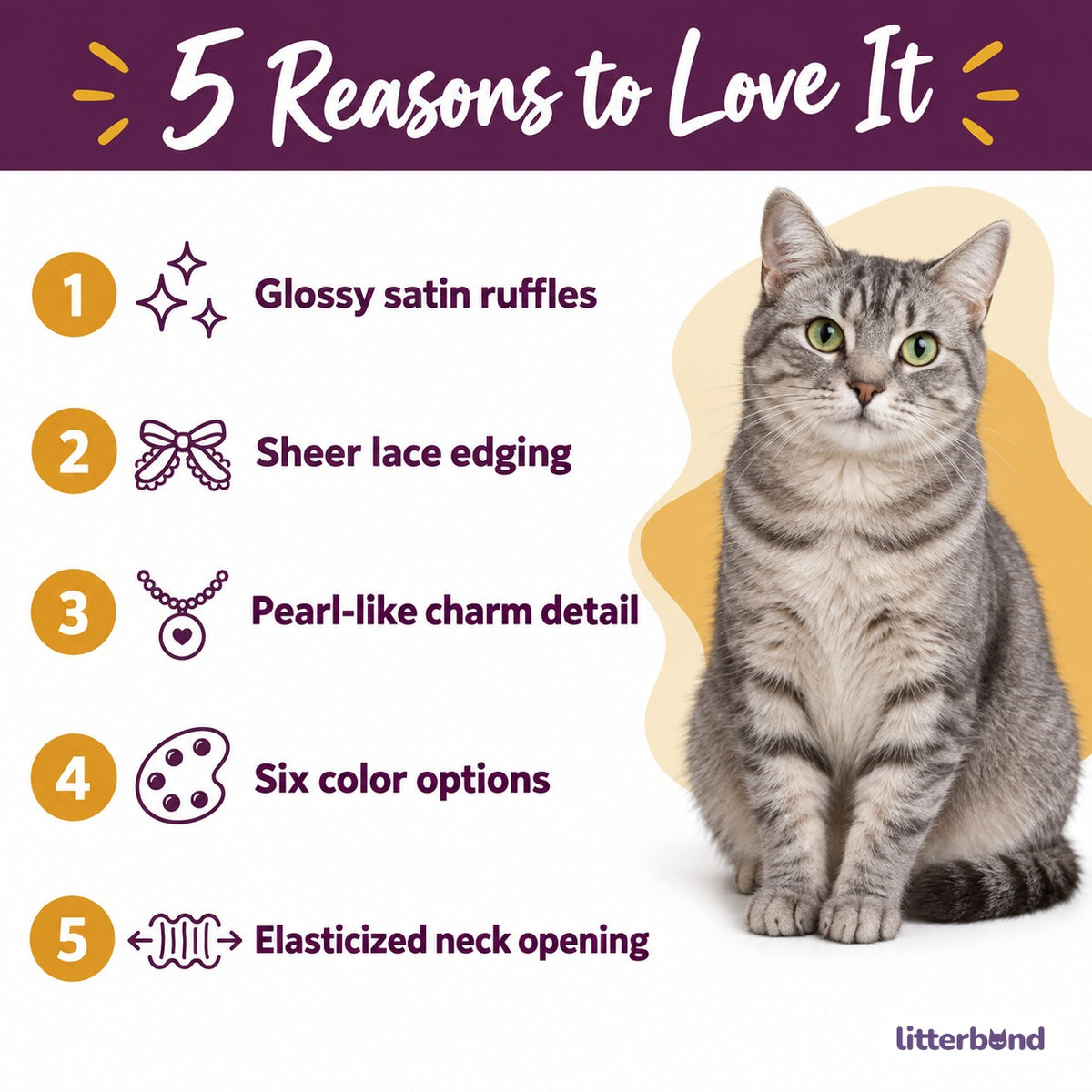 Satin Lace Photo Collar - 5 reasons to love it