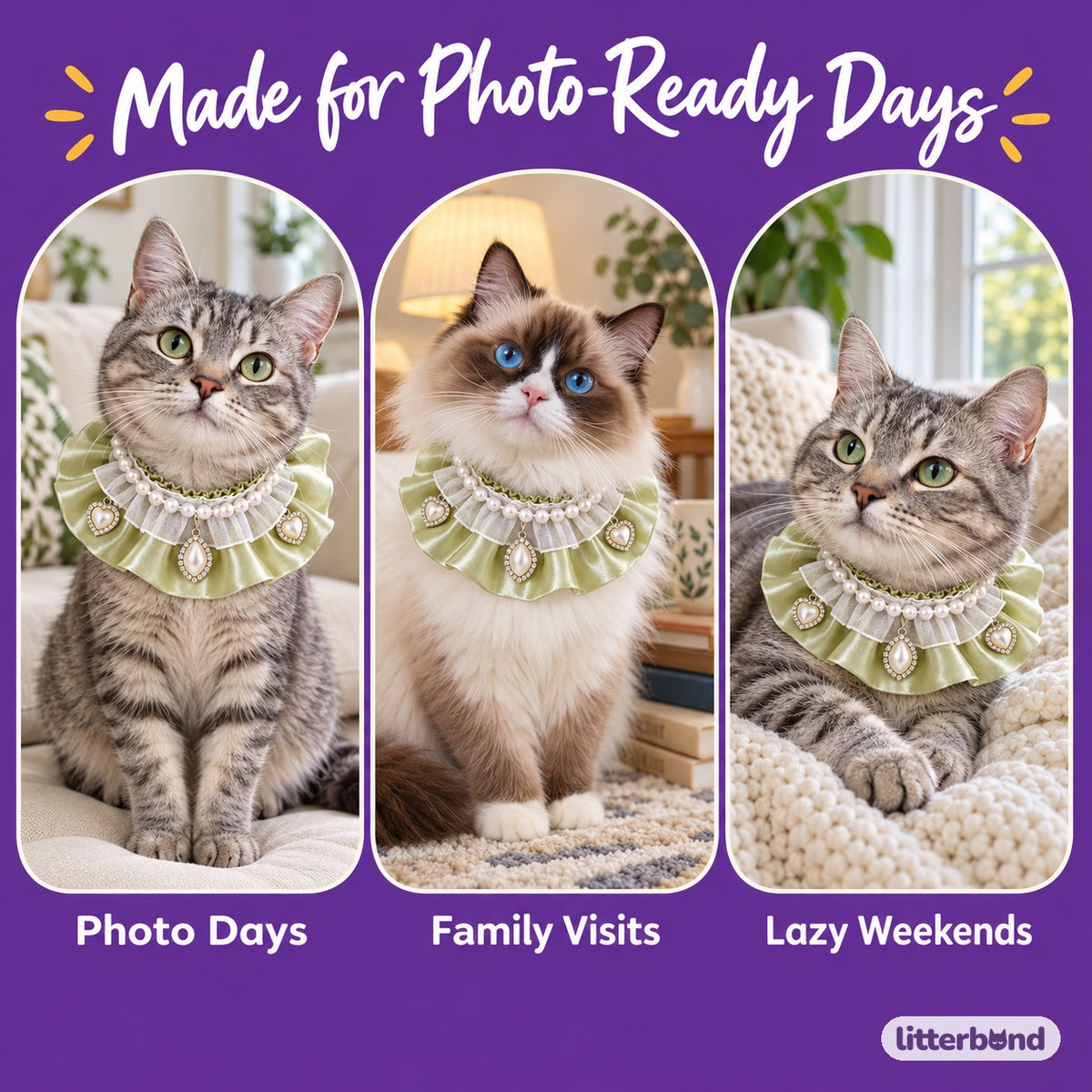 Satin Lace Photo Collar on a cat at home