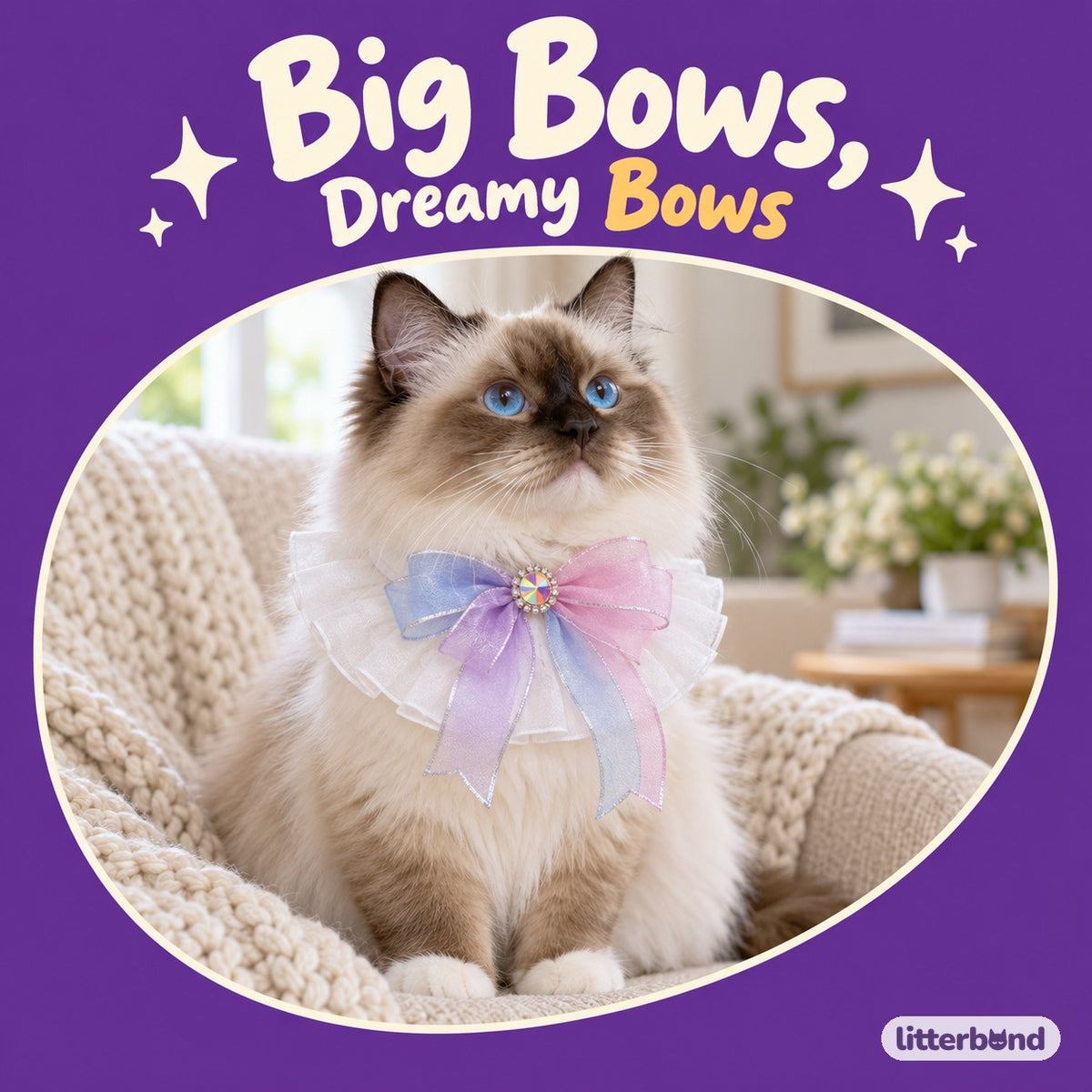 Dreamy Tulle Bow Collar on a cat